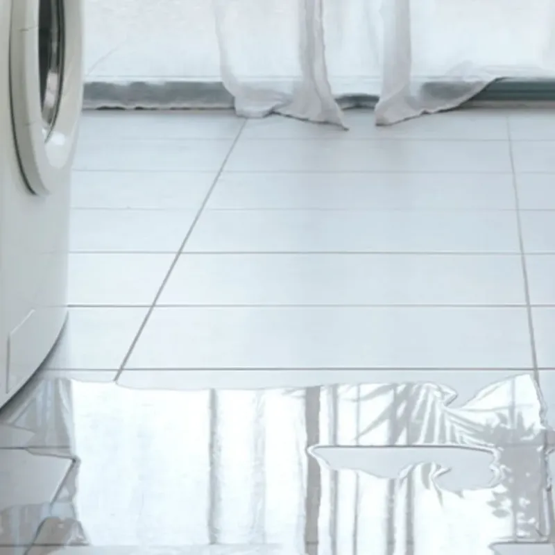 Appliance Leak Cleanup in Venus, TX