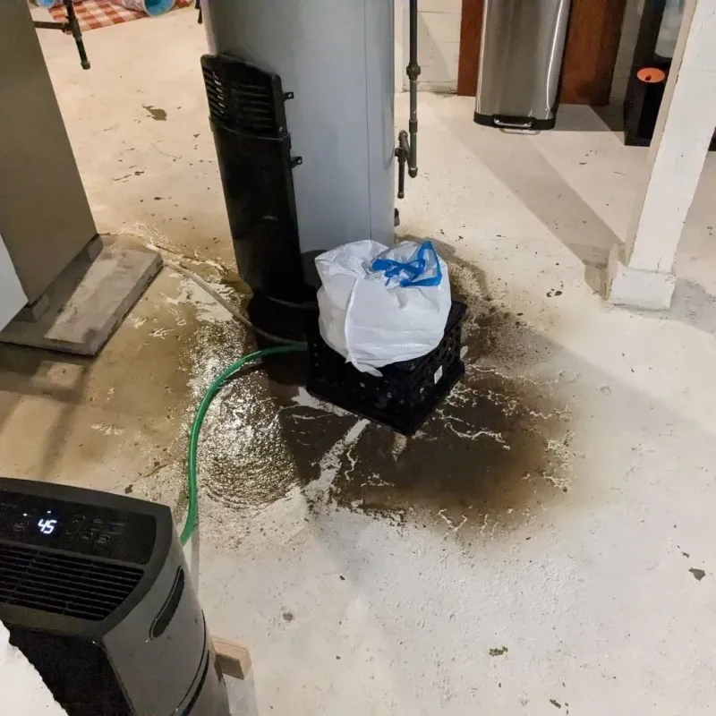 Sewage Backup Cleanup Service in Venus, TX